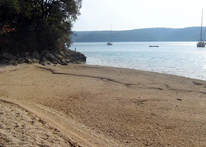 Luxury With A Swimming Pool Trget, Rasa - 7247